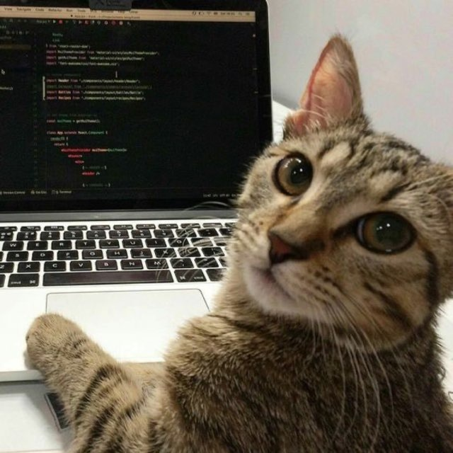 ave dev